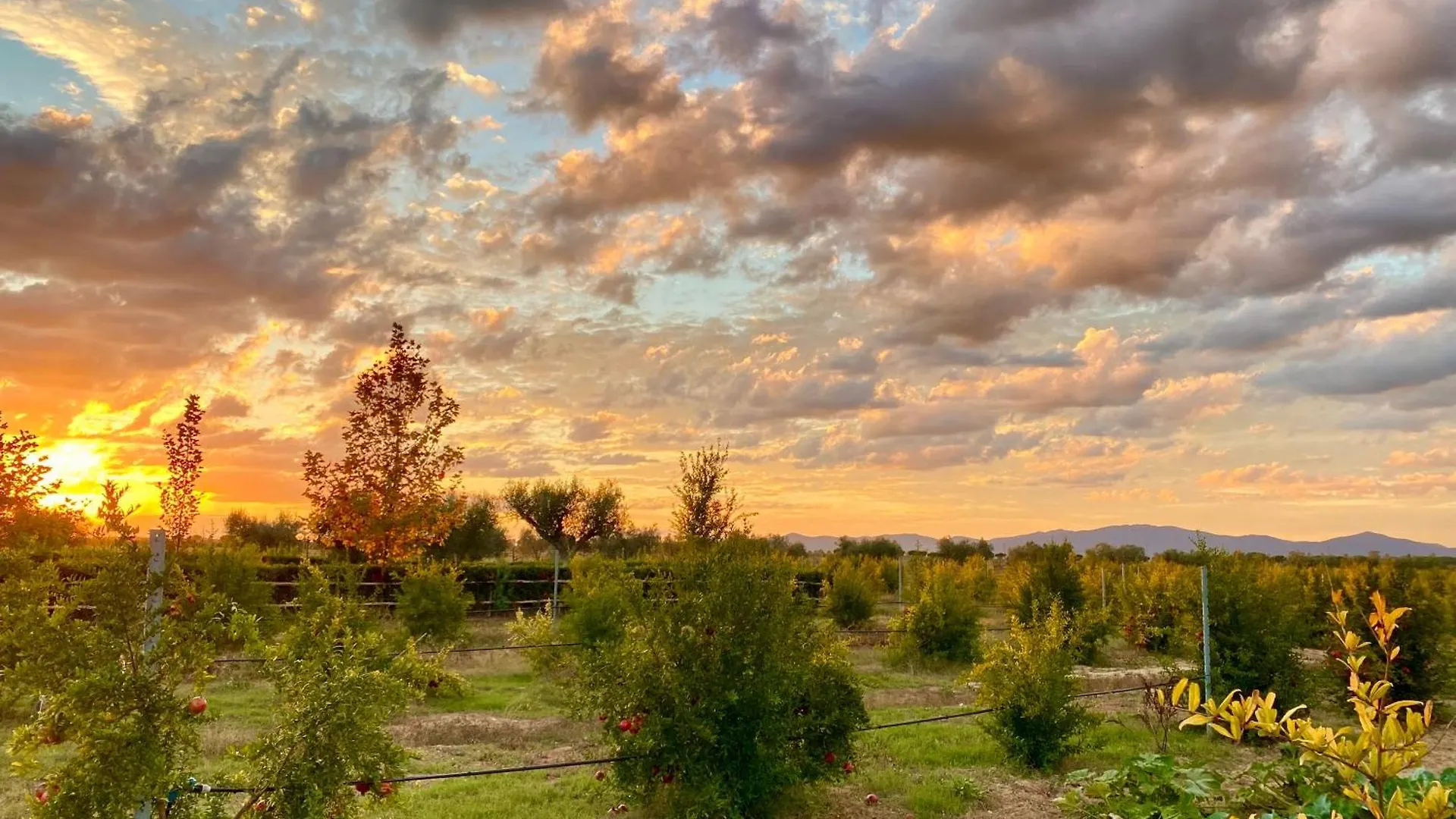 Agriturismo Le Grazie Principina Terra 0*,  Italy